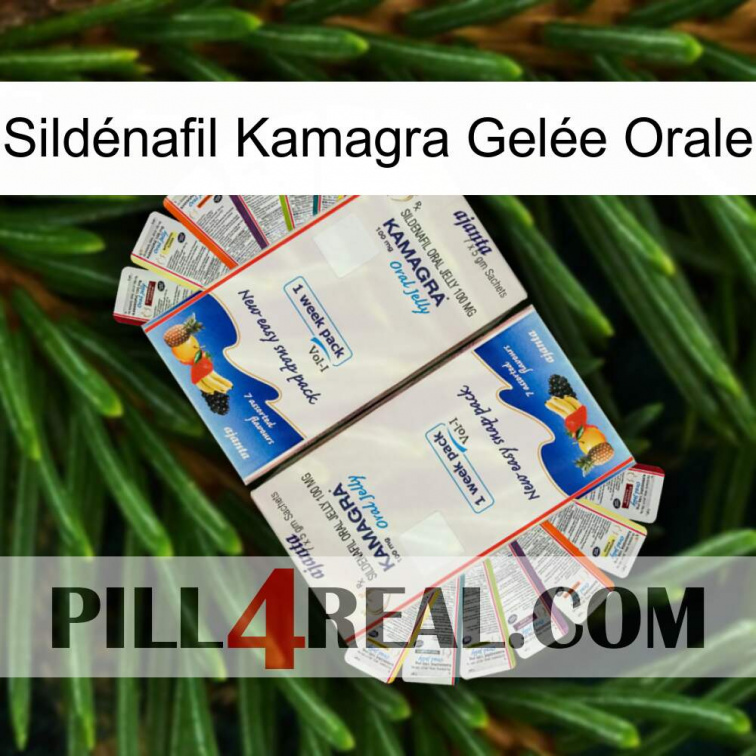 Sildénafil Kamagra Gelée Orale kamagra1
